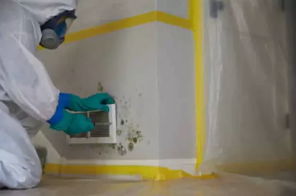 MOLD REMEDIATION IN SOUTH FLORIDA